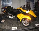 ladyspyder